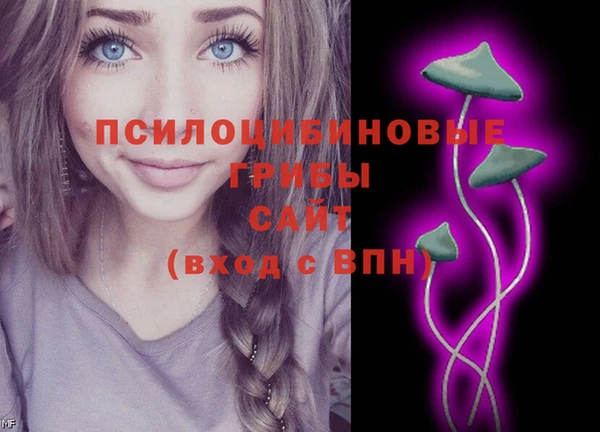 спайс Беломорск